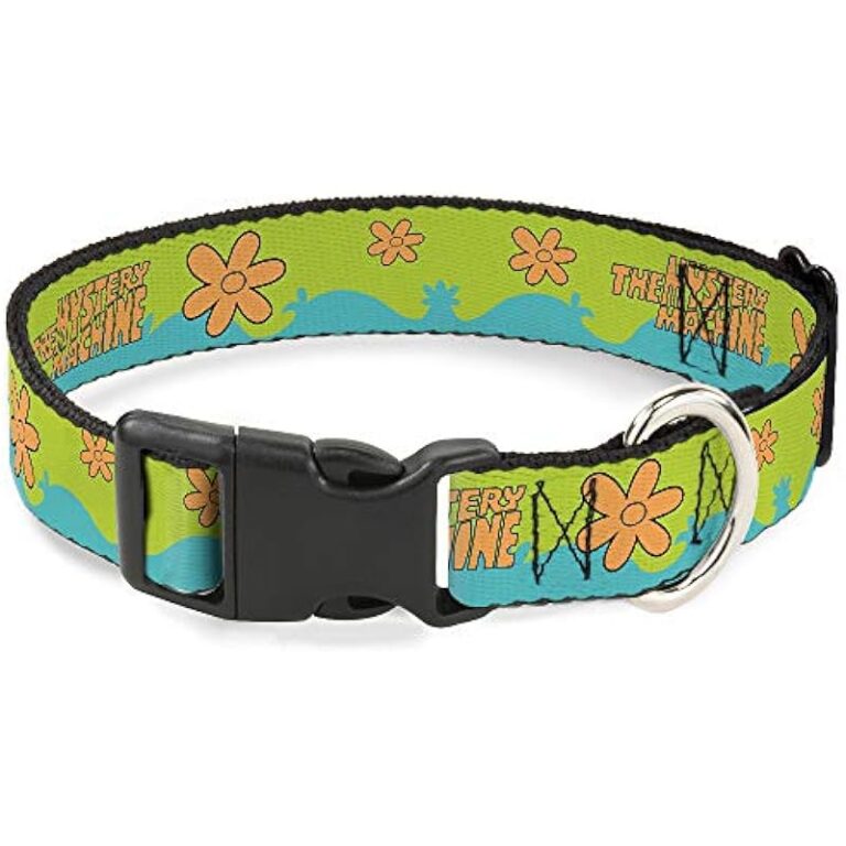 518fmv69rvl. ac us800 .jpg