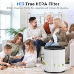 519chi9aufl. ac us800 .jpg