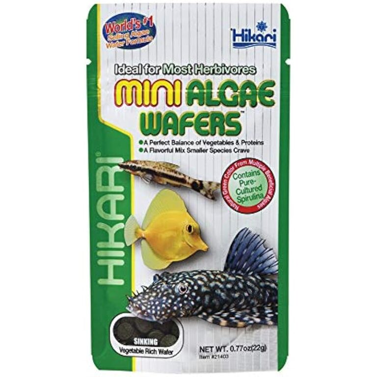 51a4q1fbisl. ac us800 .jpg