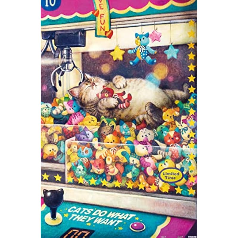 51ayccgk77l. ac us800 .jpg