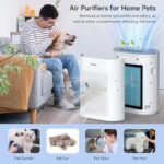 51aoyxw5kll. ac us800 .jpg