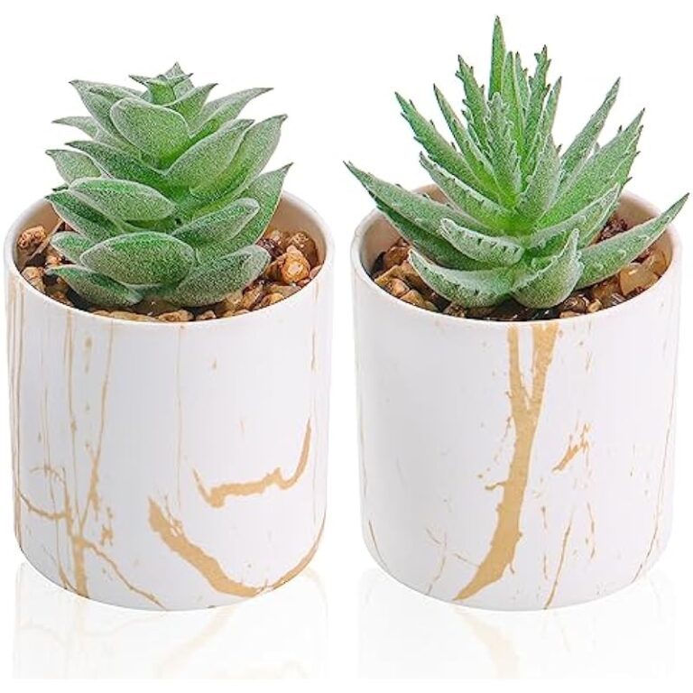 51d6wuazyrl. ac us800 .jpg