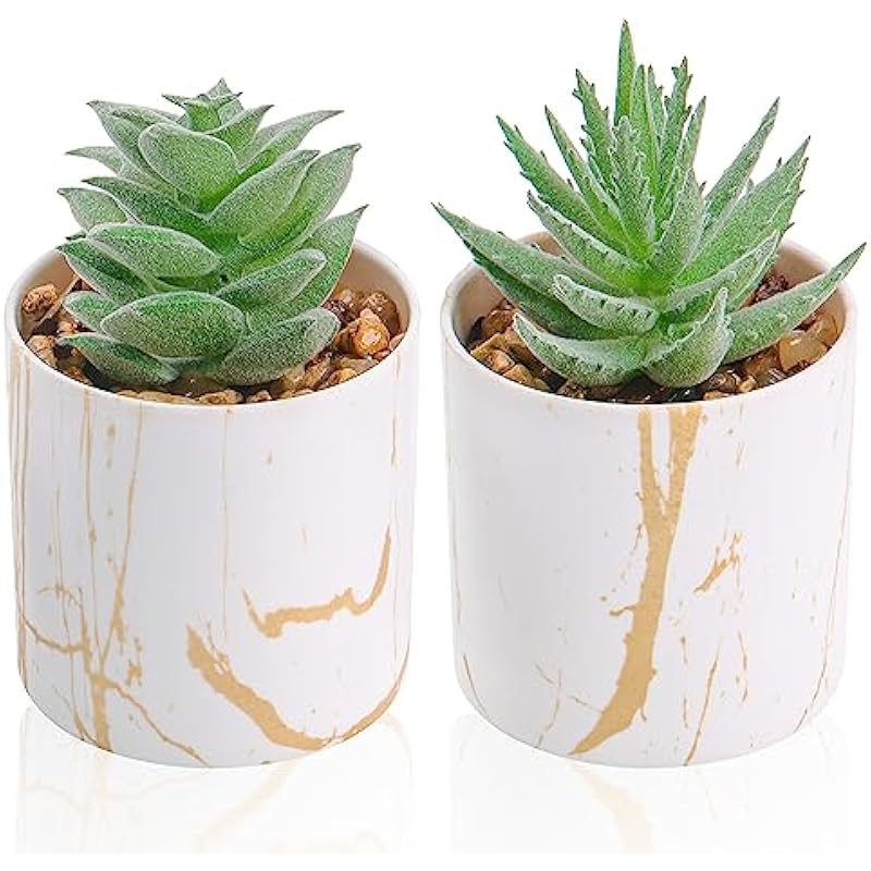 51d6wuazyrl. ac us800 .jpg