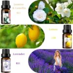 51df 6tjgnl. ac us800 .jpg