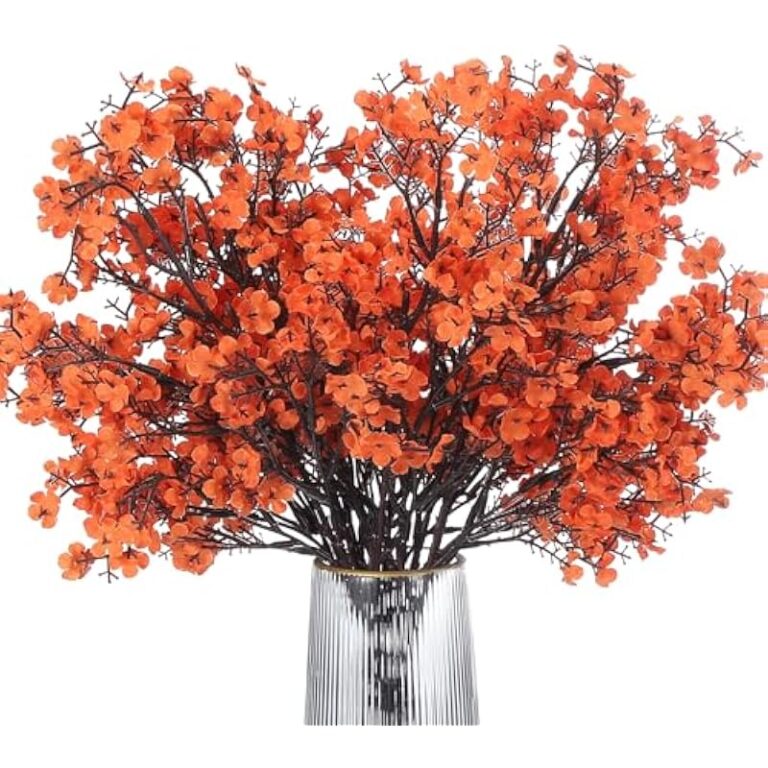 51ebp4a1lkl. ac us800 .jpg