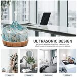 51ewwsiwhjs. ac us800 .jpg