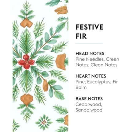 51fti1z5jfl. ac us800 .jpg