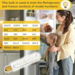 51fjefewvl. ac us800 .jpg