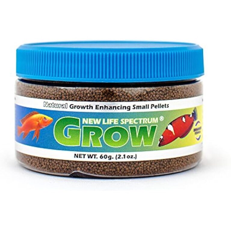 51fn65vhlvl. ac us800 .jpg