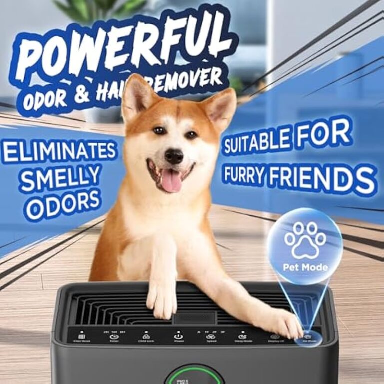 51fqqsspv3l. ac us800 .jpg