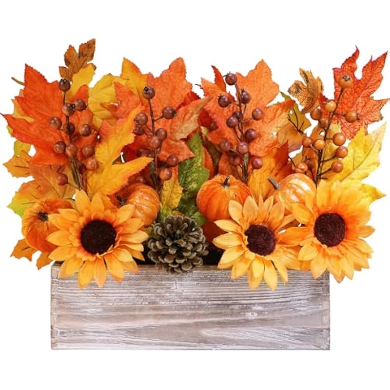 51gbymjh6jl. ac us800 .jpg