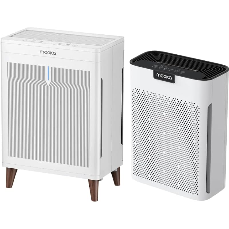 51gcejtduhl. ac us800 .jpg