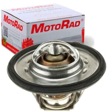 51gm85xoyzl. ac us800 .jpg