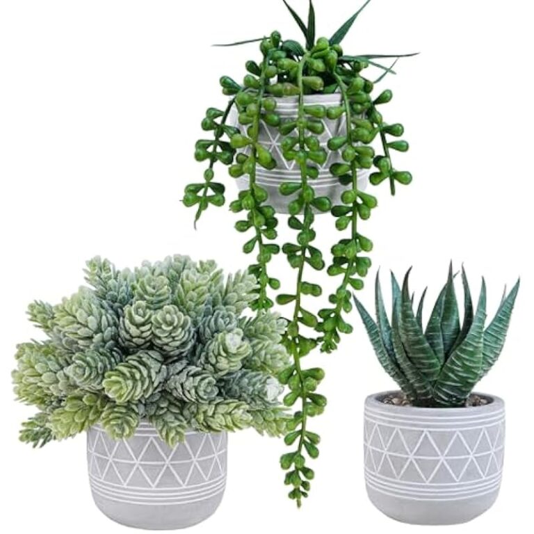 51gje3vfsrl. ac us800 .jpg