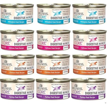 51goipqifxl. ac us800 .jpg