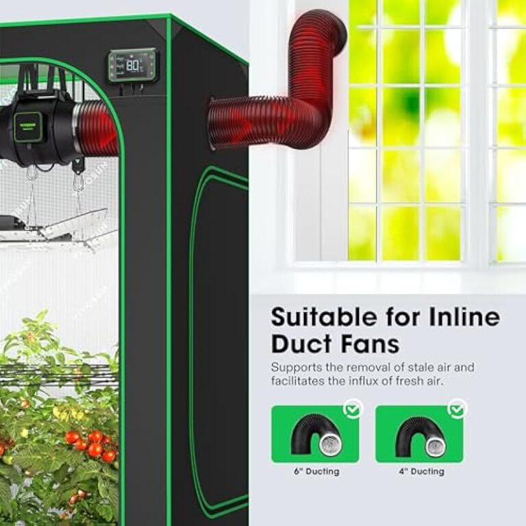 51hidw6vqwl. ac us800 .jpg