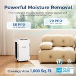 51hnozwbql. ac us800 .jpg