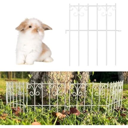 51iipiymhjl. ac us800 .jpg