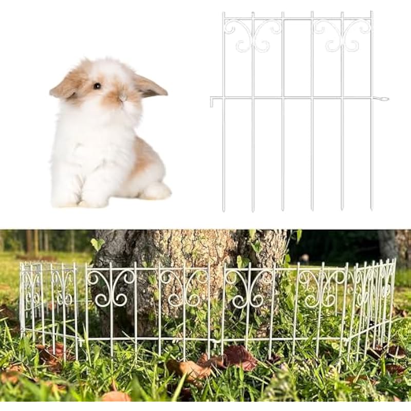 51iipiymhjl. ac us800 .jpg