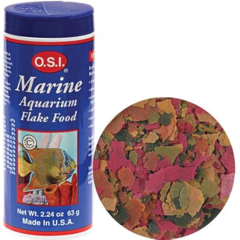 51inhngnqil. ac us800 .jpg