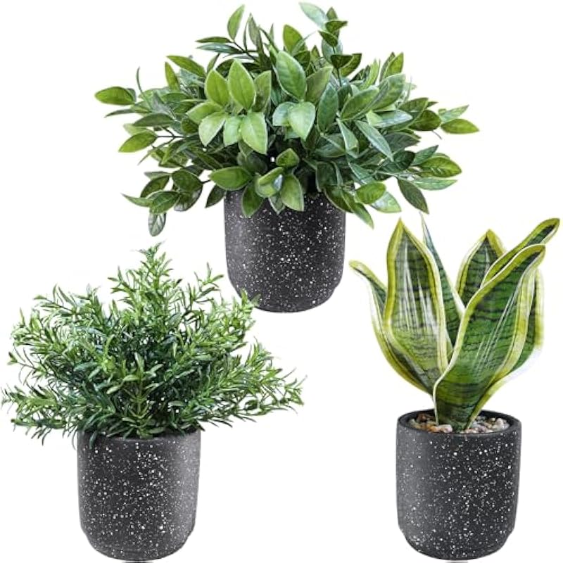 51j2hdcyqvl. ac us800 .jpg