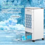 51juzdezodl. ac us800 .jpg