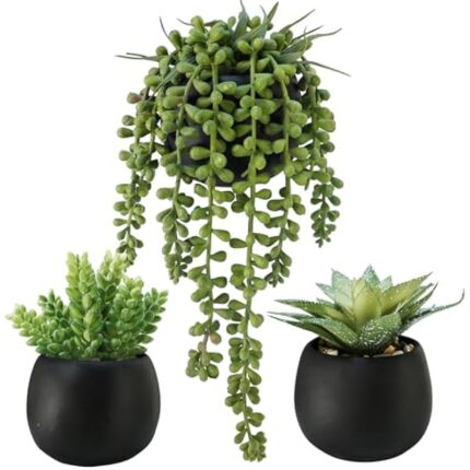 51kj9qdo1kl. ac us800 4.jpg