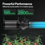 51l04tnmbnl. ac us800 .jpg