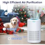 51l6xgoinsl. ac us800 .jpg