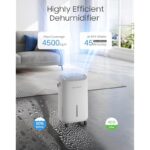 51lamqvpsvl. ac us800 .jpg