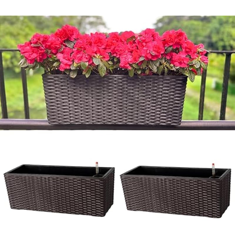 51lci3ugvvl. ac us800 .jpg