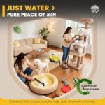 51lwhyczfbl. ac us800 .jpg