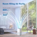 51mlnwovsul. ac us800 .jpg