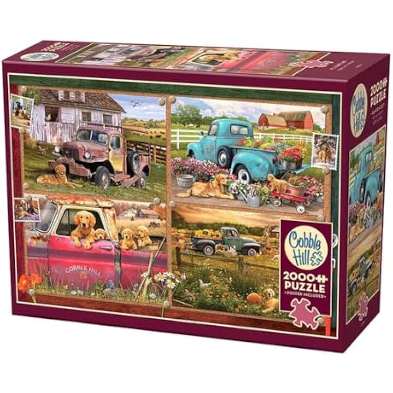 51n9o5wpdpl. ac us800 .jpg