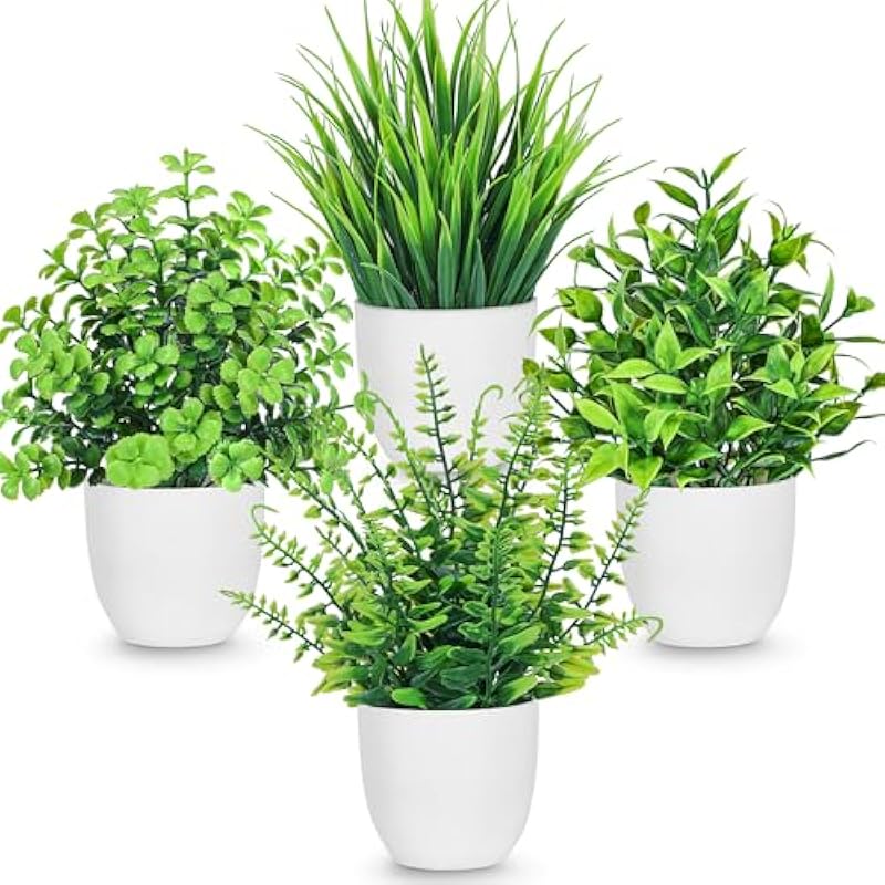 51ouep5amtl. ac us800 .jpg