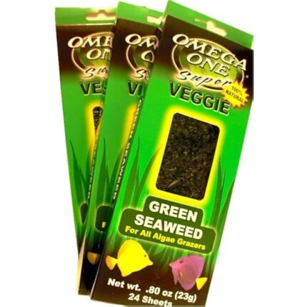 51oyzkqityl. ac us800 .jpg