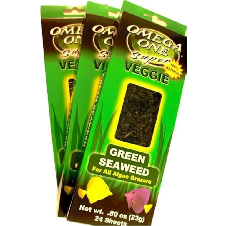 51oyzkqityl. ac us800 .jpg