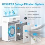 51oemvgk9bl. ac us800 .jpg