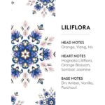 51p02c6tmpl. ac us800 .jpg