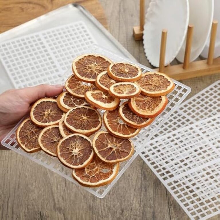 51q zjj8dl. ac us800 .jpg