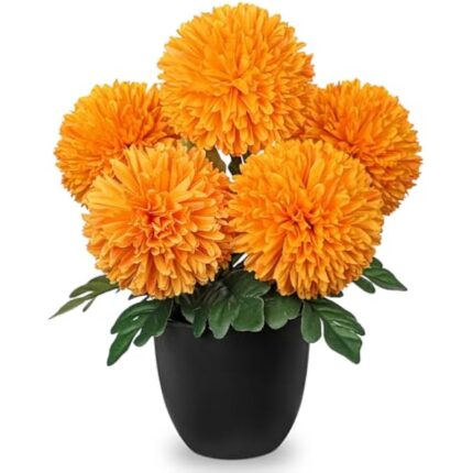 51q3t dtbhl. ac us800 .jpg