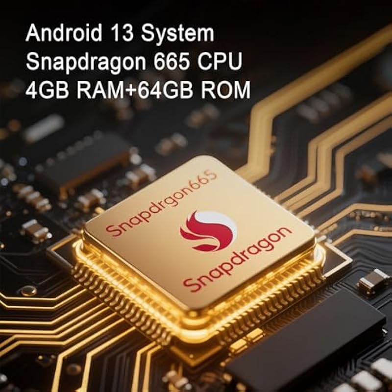 51qy3vpb81l. ac us800 .jpg