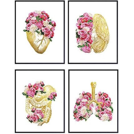 51rokpvmy8l. ac us800 .jpg