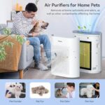 51rqopy0f9l. ac us800 .jpg