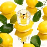 51swuku7l4l. ac us800 .jpg