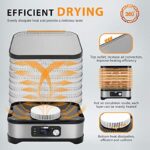 51u8etljzpl. ac us800 .jpg