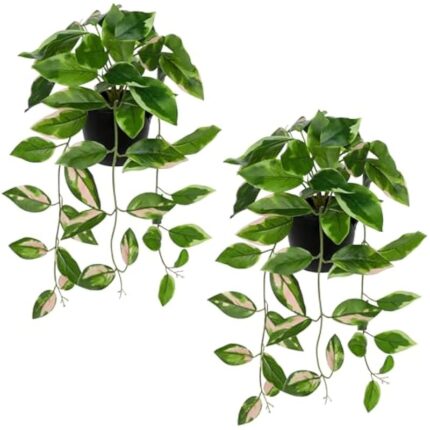 51un9viqzfl. ac us800 .jpg