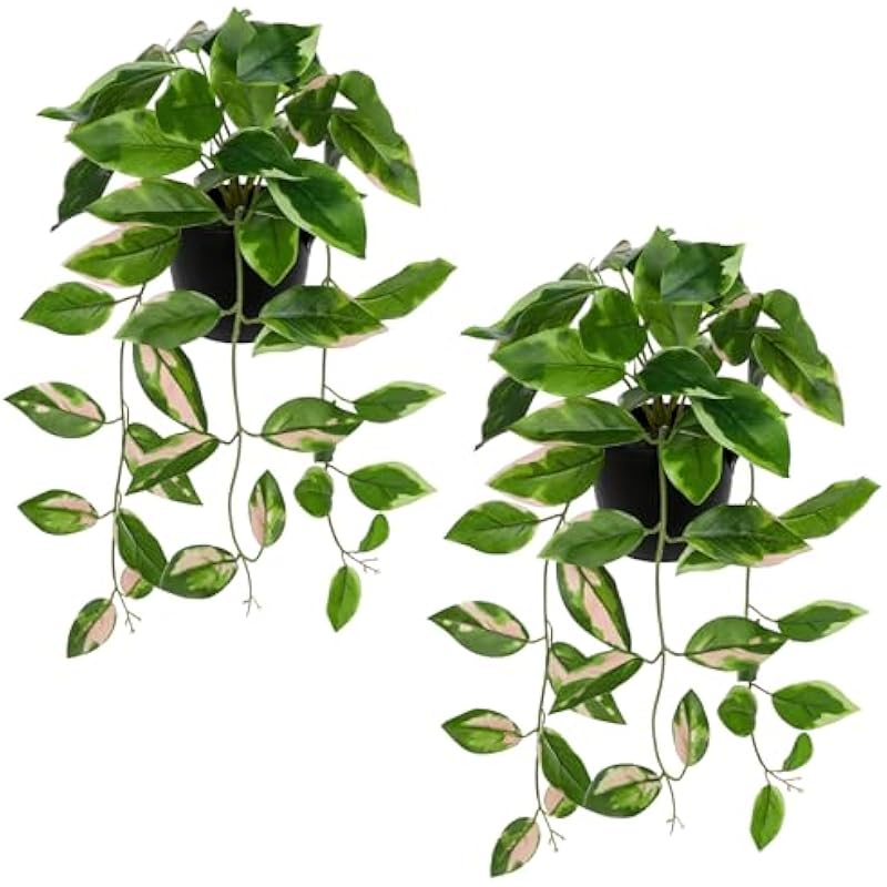 51un9viqzfl. ac us800 .jpg