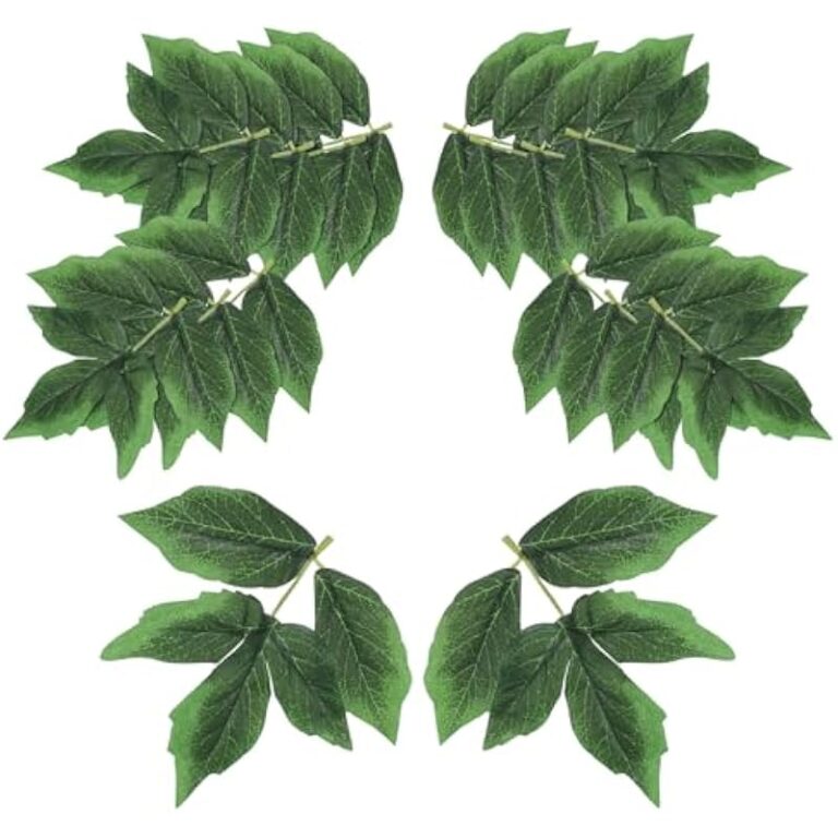 51vkqd7bzpl. ac us800 .jpg