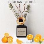 51x8ns8mril. ac us800 .jpg